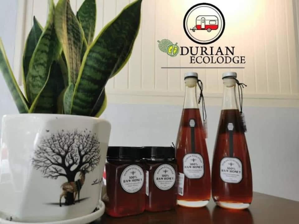 Durian Ecolodge Тампин Екстериор снимка