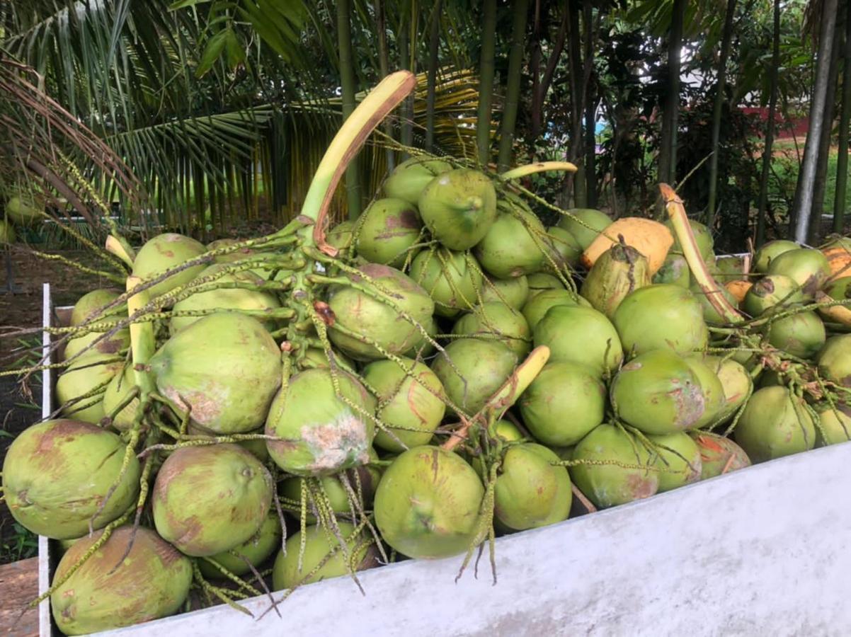 Durian Ecolodge Тампин Екстериор снимка